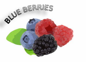 BLUE BERRIES